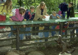 Otterfuetterung