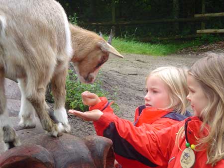 Kinder im Wildpark-Eekholt