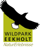 Logo des Wildpark Eekholt: Adler mit ausgebreiteten Flügeln und der Schriftzug Wildpark Eekholt